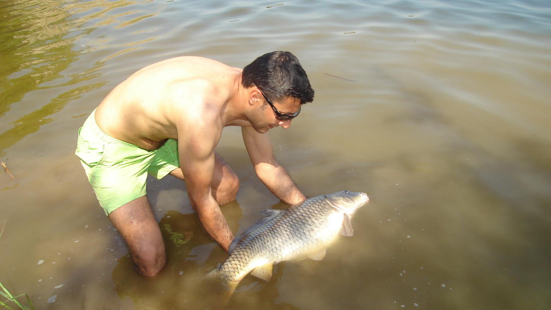 Tancabesti - dsc0333811.JPG